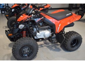 New 2021 Can-Am DS 250